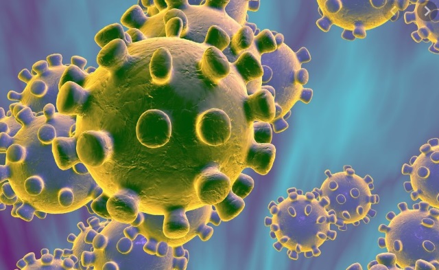Coronavirus: ¿los alimentos son una via de transmisión del virus?