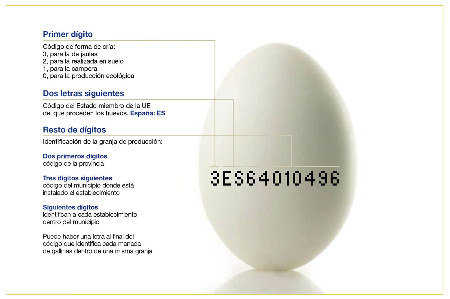 Etiquetado huevo